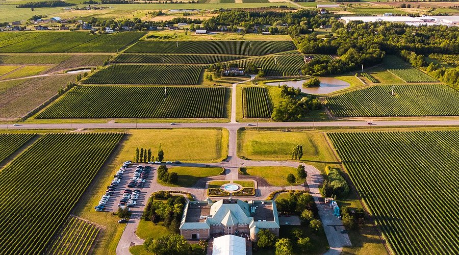 Niagara Wine Country Estate